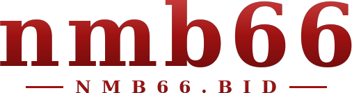 nmb66 logo